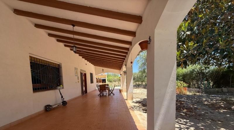 Alicante - Aspe - 13000m2