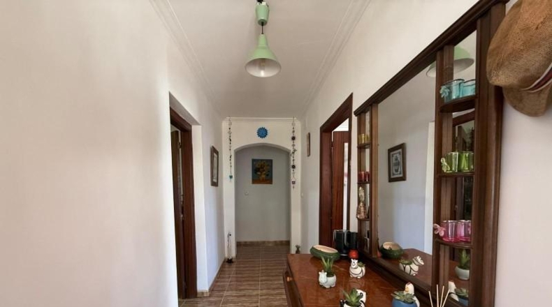 Alicante - Aspe - 13000m2