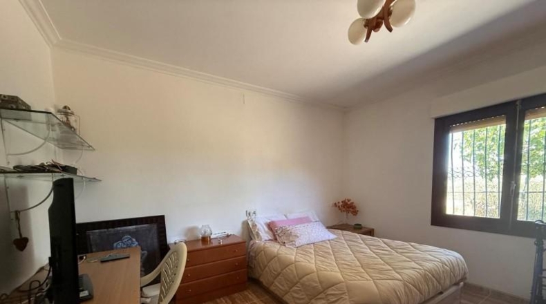 Alicante - Aspe - 13000m2