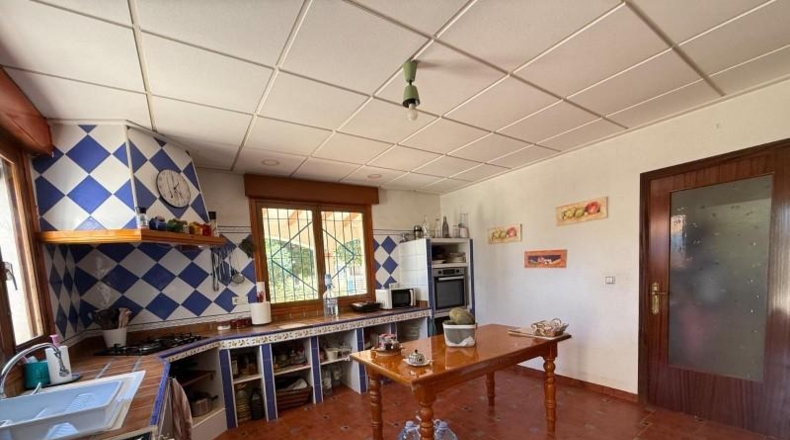 Alicante - Aspe - 13000m2