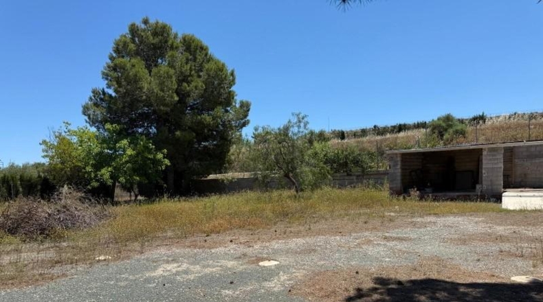 Alicante - Aspe - 13000m2