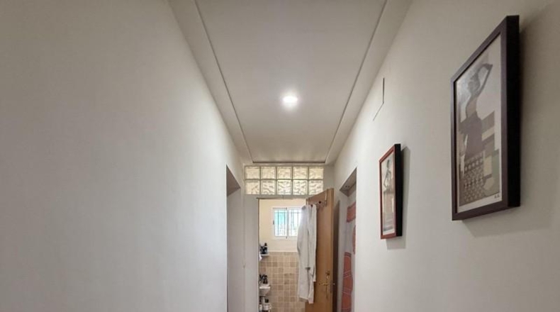 Alicante - Aspe - 13000m2