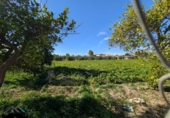 Detached villa with land for sale on España, Murcia, ref: TR412134 photo