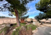Casa de campo con terreno en venta en la España, Monóvar, ref: TR412145 foto