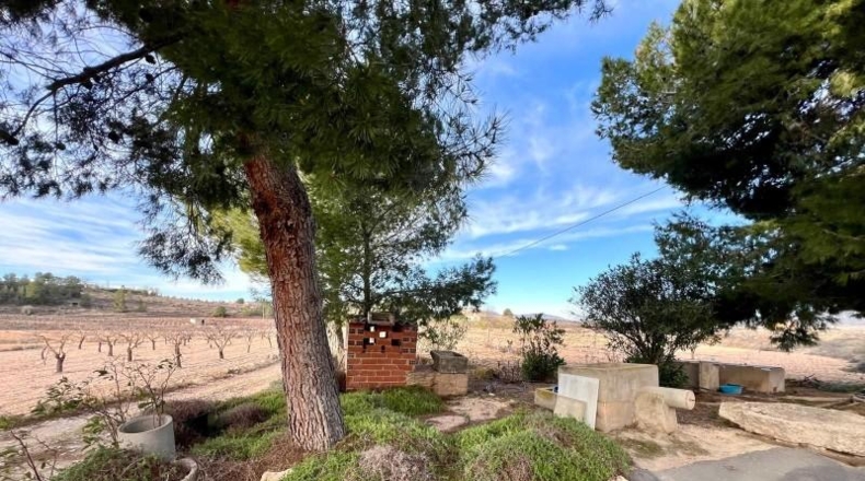 Alicante - Monóvar - 8300m2