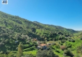 Casa de campo con terreno en venta en la España, Málaga, ref: TR391946 foto