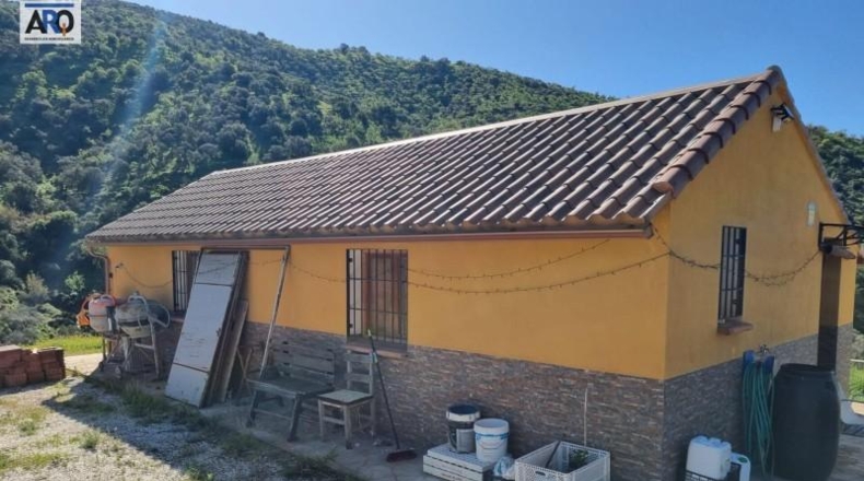 Málaga - Málaga - 2000m2