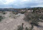 Sòl urbà en venda a la España, Crevillent, ref.: TR412156 foto