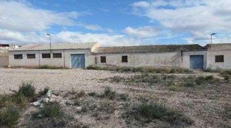 Alicante - Crevillente - 815m2