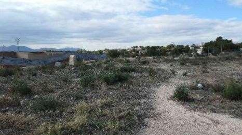 Alicante - Crevillente - 815m2
