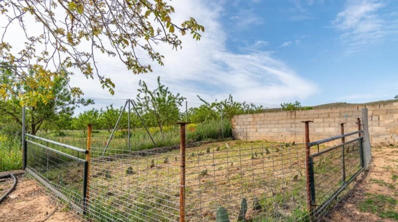 Granada - Padul - 13772m2