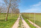 Земля на продажу у города Padul Фото