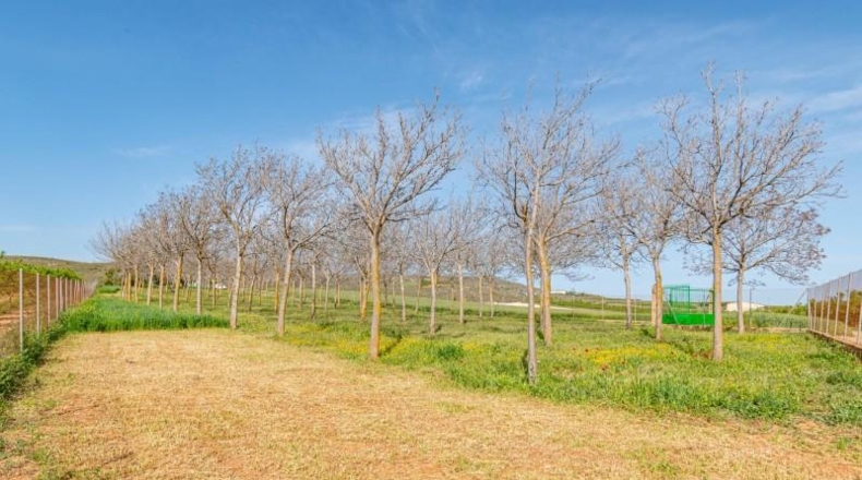 Granada - Padul - 13772m2