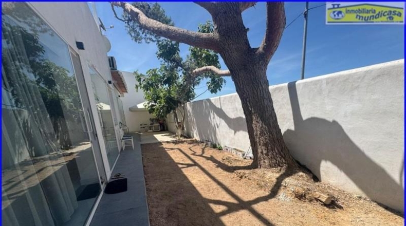 Alicante - Orihuela - 302m2