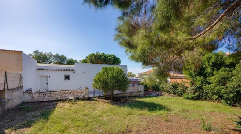 Alicante - Torrevieja - 713m2