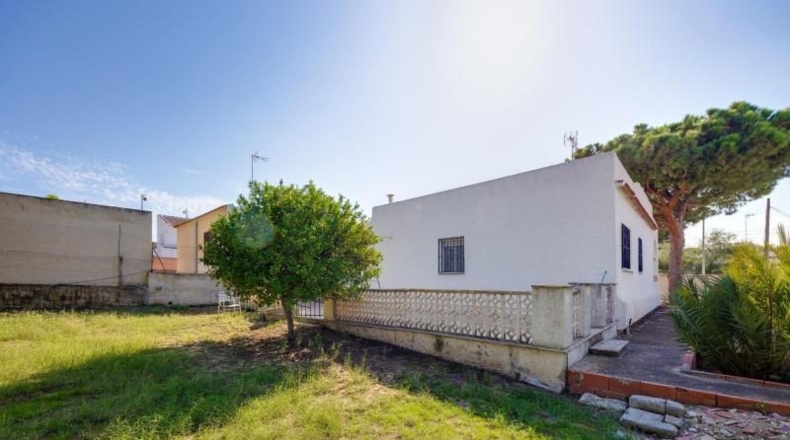 Alicante - Torrevieja - 713m2
