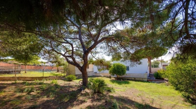 Alicante - Torrevieja - 713m2