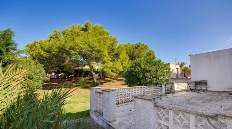 Alicante - Torrevieja - 713m2