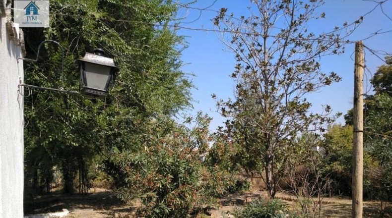 Granada - Íllora - 1345m2
