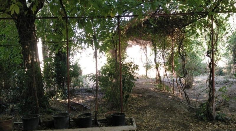 Granada - Íllora - 1345m2
