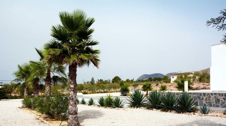 Múrcia - Abanilla - 5000m2