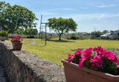 Finca rústica en venda a la España, Soto de la Marina, ref.: TR412173 foto