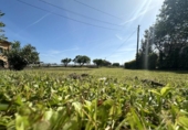 Finca rústica en venda a la España, Soto de la Marina, ref.: TR412173 foto