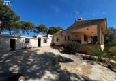 Detached villa with land for sale on España, Náquera, ref: TR412175 photo