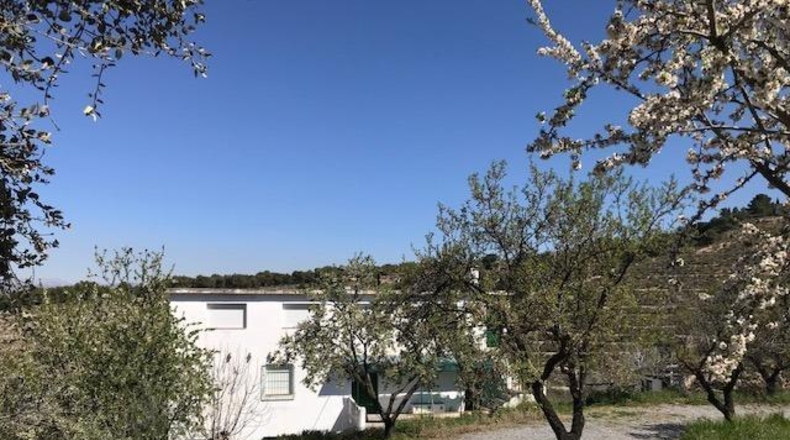 Granada - Ла-Субиа - 42420m2
