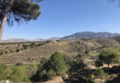 Terreno no urbanizable en venta en la España, La Zubia, ref: TR412189 foto