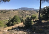 Terreno no urbanizable en venta en la España, La Zubia, ref: TR412189 foto