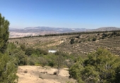 Terreno no urbanizable en venta en la España, La Zubia, ref: TR412189 foto