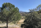 Terreno no urbanizable en venta en la España, La Zubia, ref: TR412189 foto