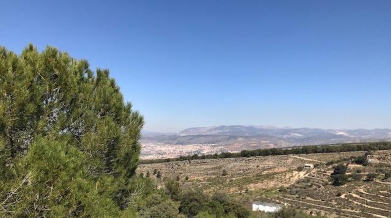 Granada - Ла-Субиа - 42420m2