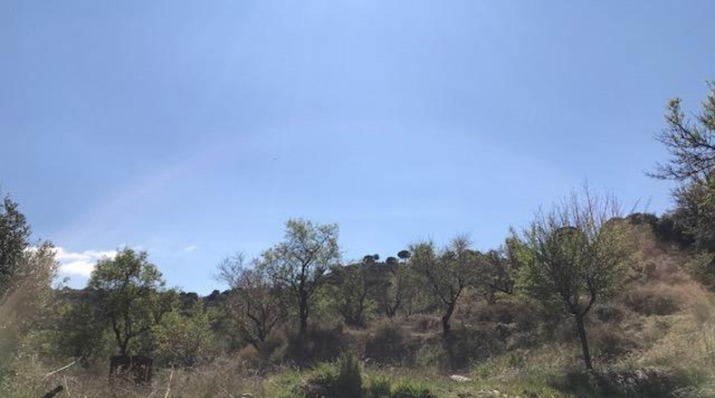 Granada - Ла-Субиа - 42420m2