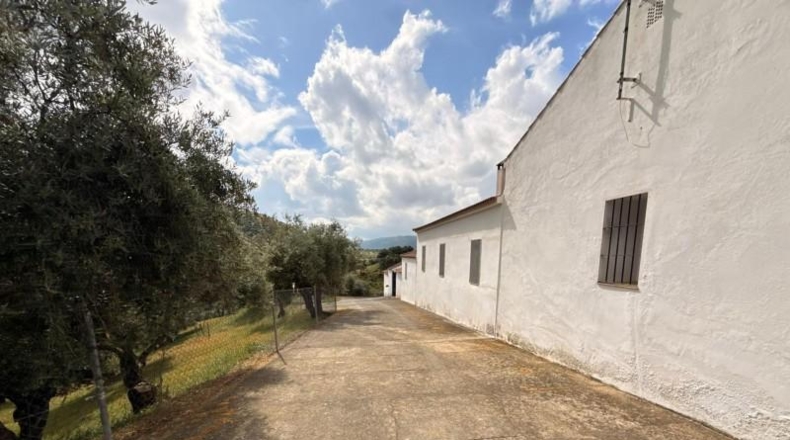 Córdoba - Estación de Obejo - 260000m2