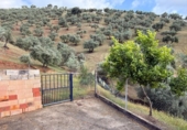Detached villa with land for sale on España, Estación de Obejo, ref: TR412180 photo