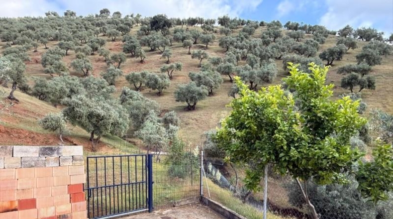 Córdoba - Estación de Obejo - 260000m2