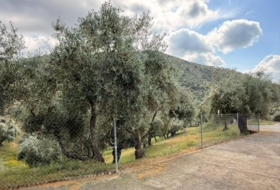 Estación de Obejo 260000&nbsp;m²
