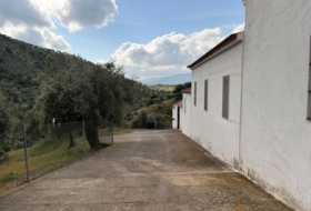 Estación de Obejo 260000&nbsp;m²