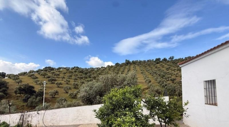 Córdoba - Estación de Obejo - 260000m2