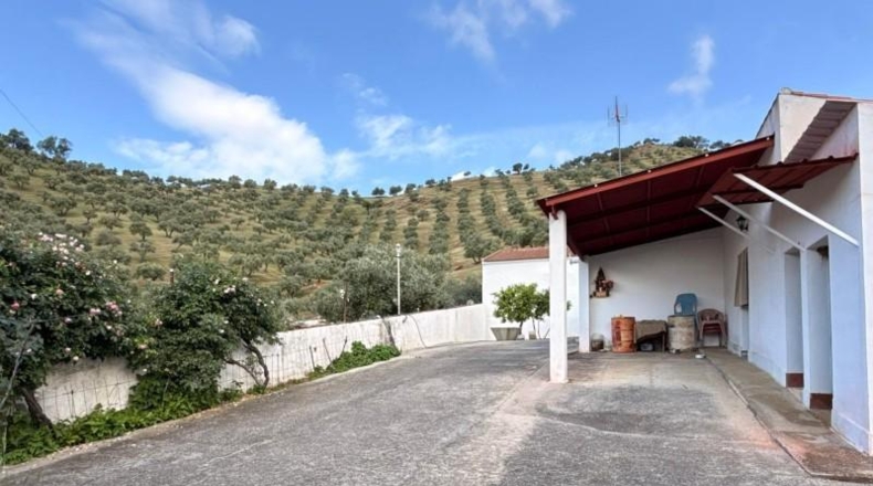 Córdoba - Estación de Obejo - 260000m2