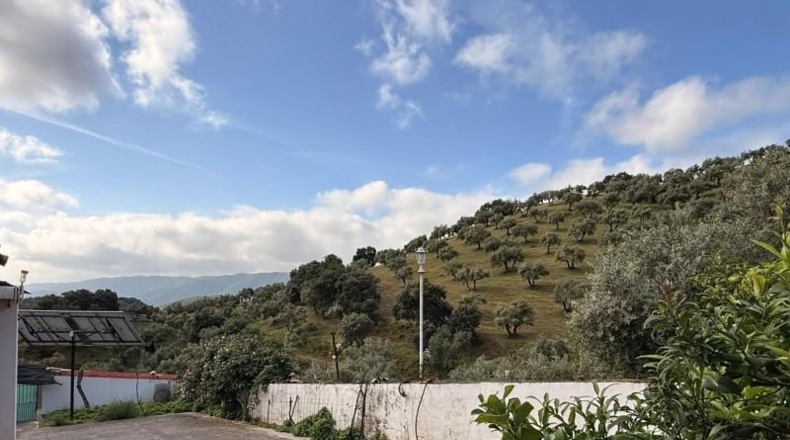 Córdoba - Estación de Obejo - 260000m2