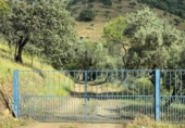 Detached villa with land for sale on España, Estación de Obejo, ref: TR412180 photo
