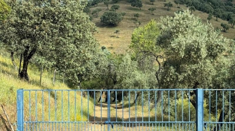 Córdoba - Estación de Obejo - 260000m2