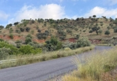 Detached villa with land for sale on España, Estación de Obejo, ref: TR412180 photo