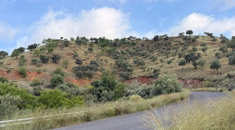 Córdoba - Estación de Obejo - 260000m2
