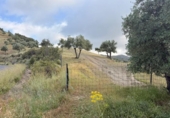 Detached villa with land for sale on España, Estación de Obejo, ref: TR412180 photo