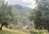 Detached villa with land for sale on España, Estación de Obejo, ref: TR412180 photo