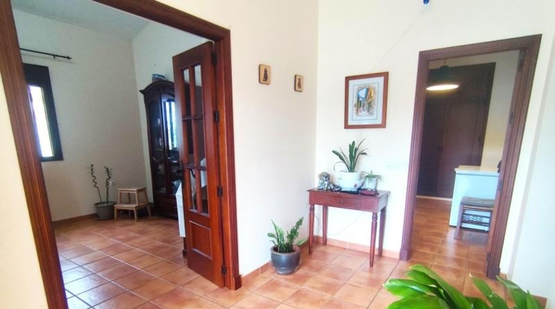 Cadiz - Chiclana de la Frontera - 459m2